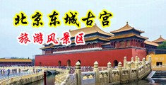 妇少水多18p蜜泬17p亚洲乱中国北京-东城古宫旅游风景区